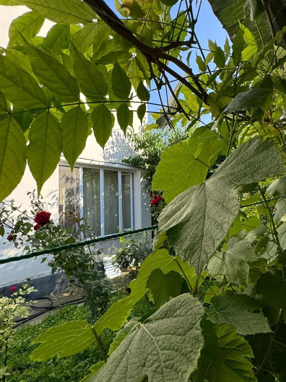 Center Hotel Gorisz Kültér fotó