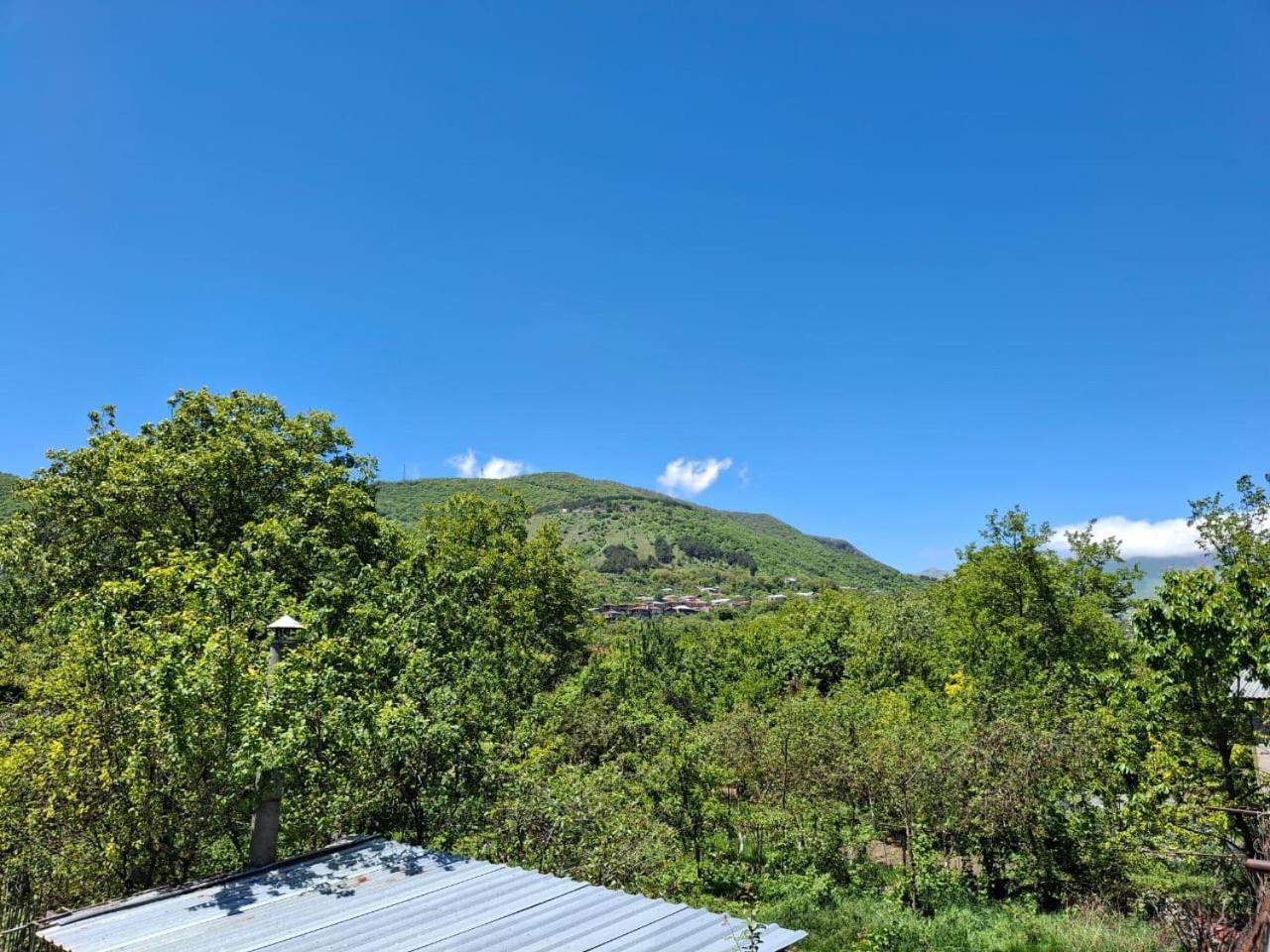 Center Hotel Gorisz Kültér fotó